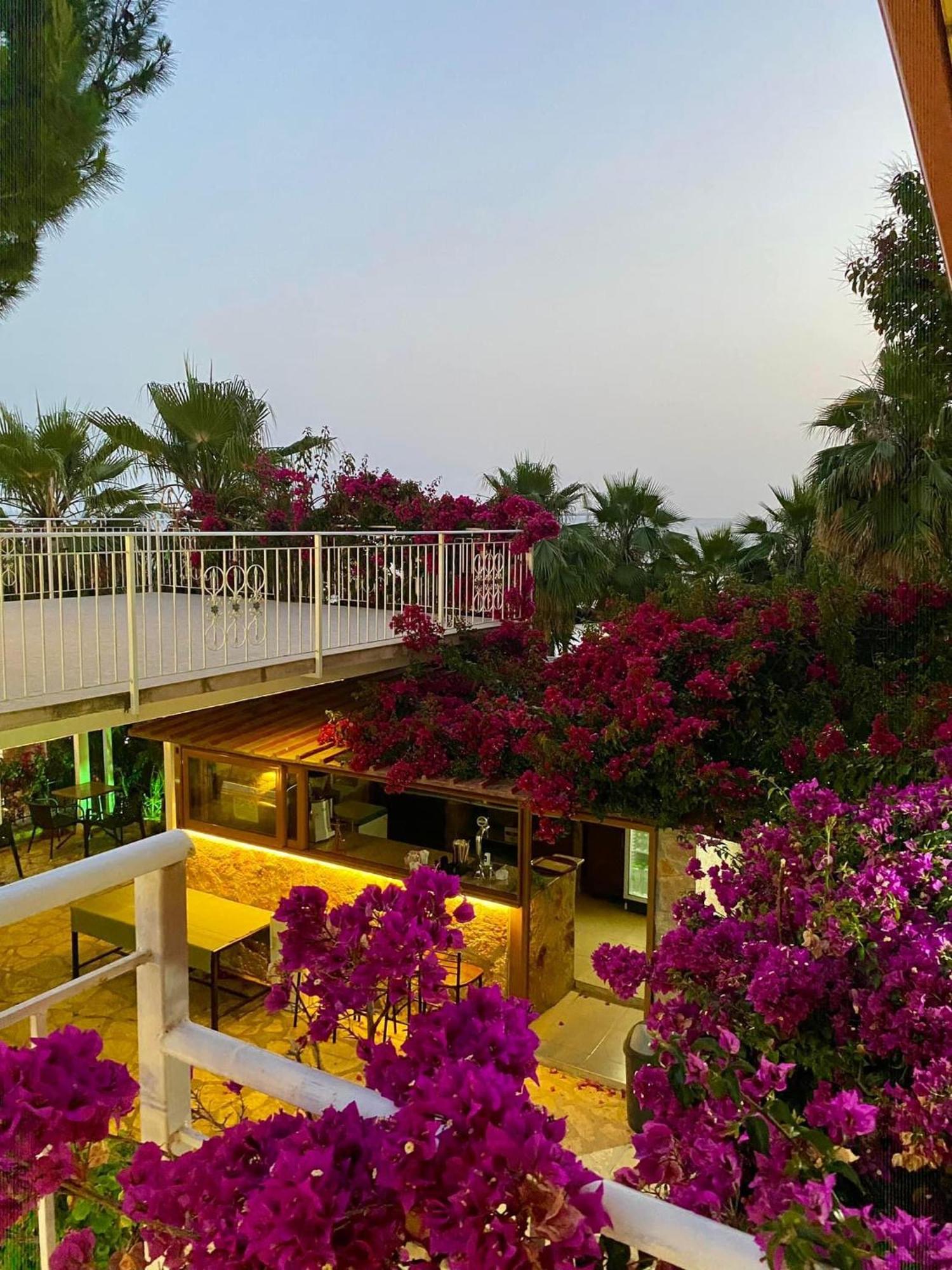 Hotel Kalemi's Beachside